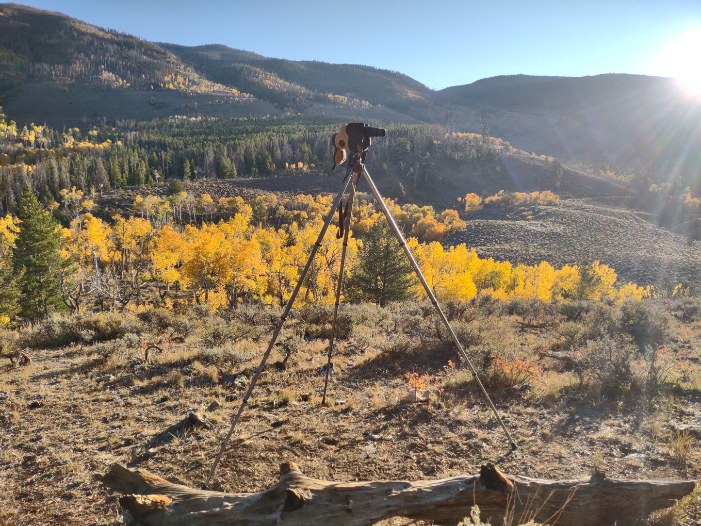 Original Hunting Tripod '25