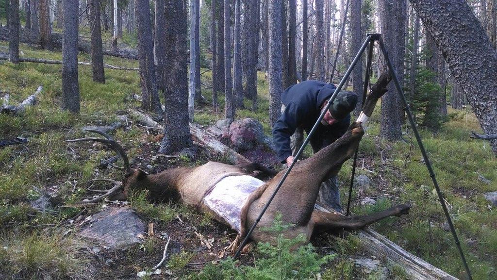 Quartering an elk with a tripod.