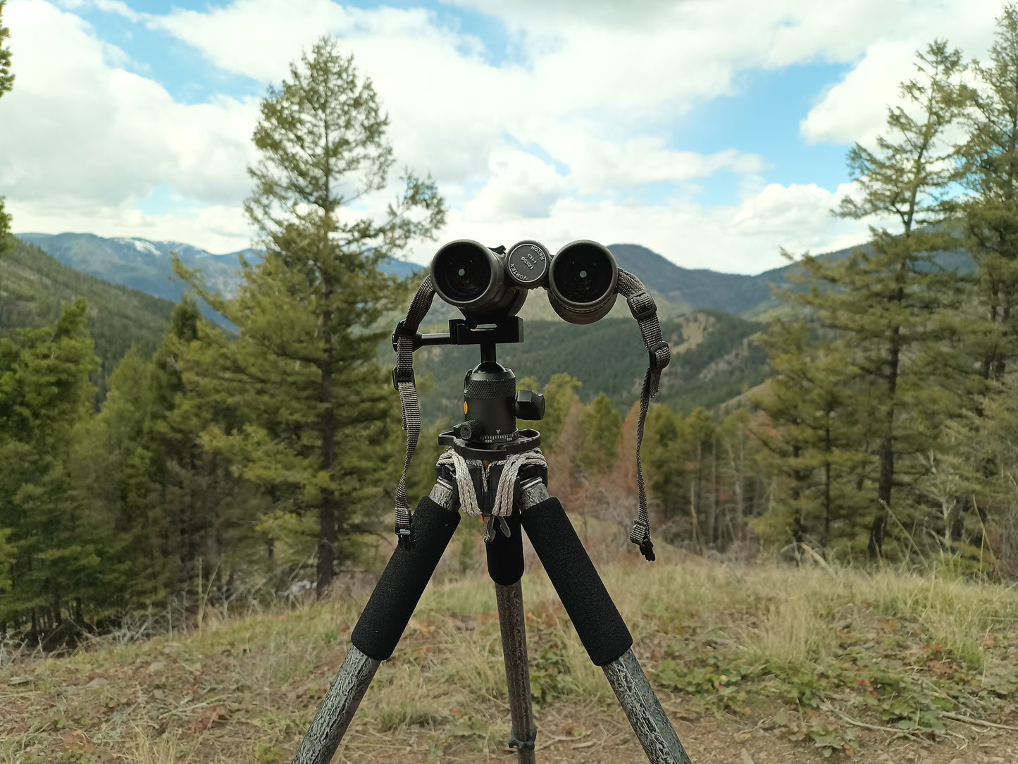 The Original Hunting Tripod