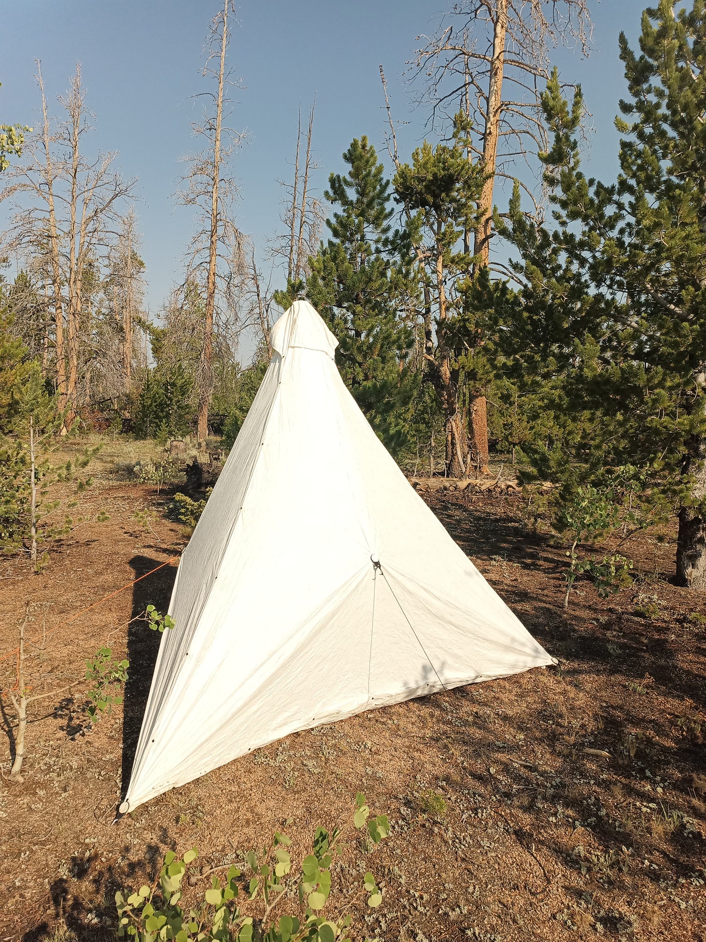 Tent Systems