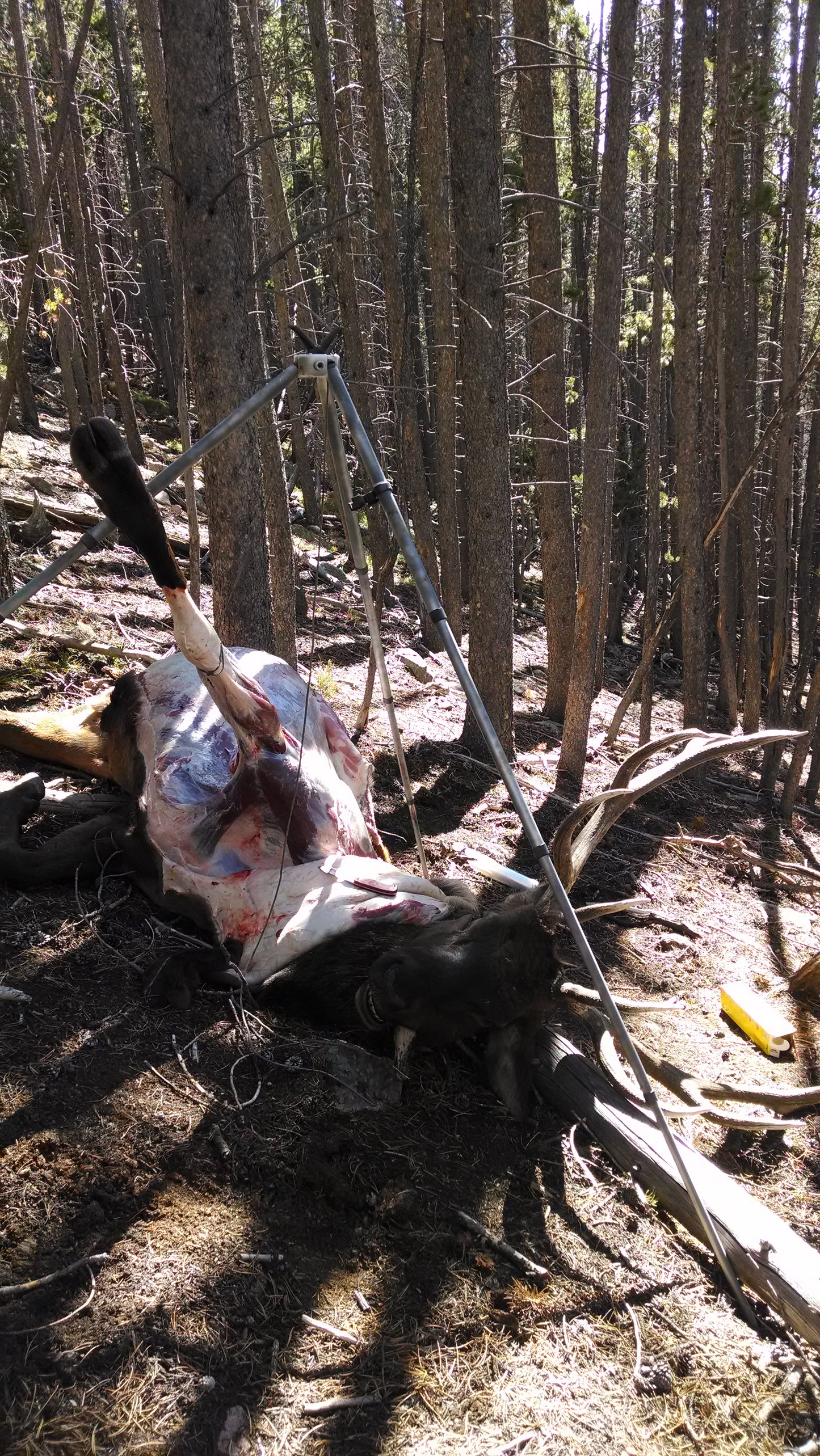 The Original Hunting Tripod