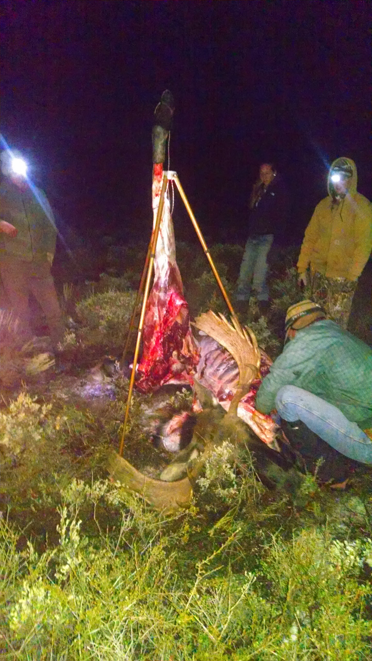 The Original Hunting Tripod