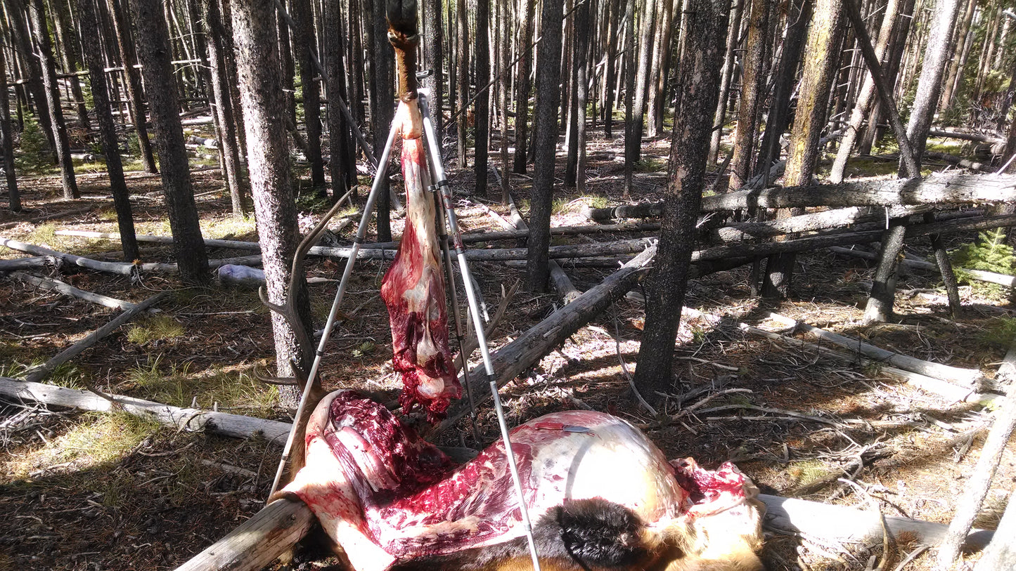 Braking down an elk in the field