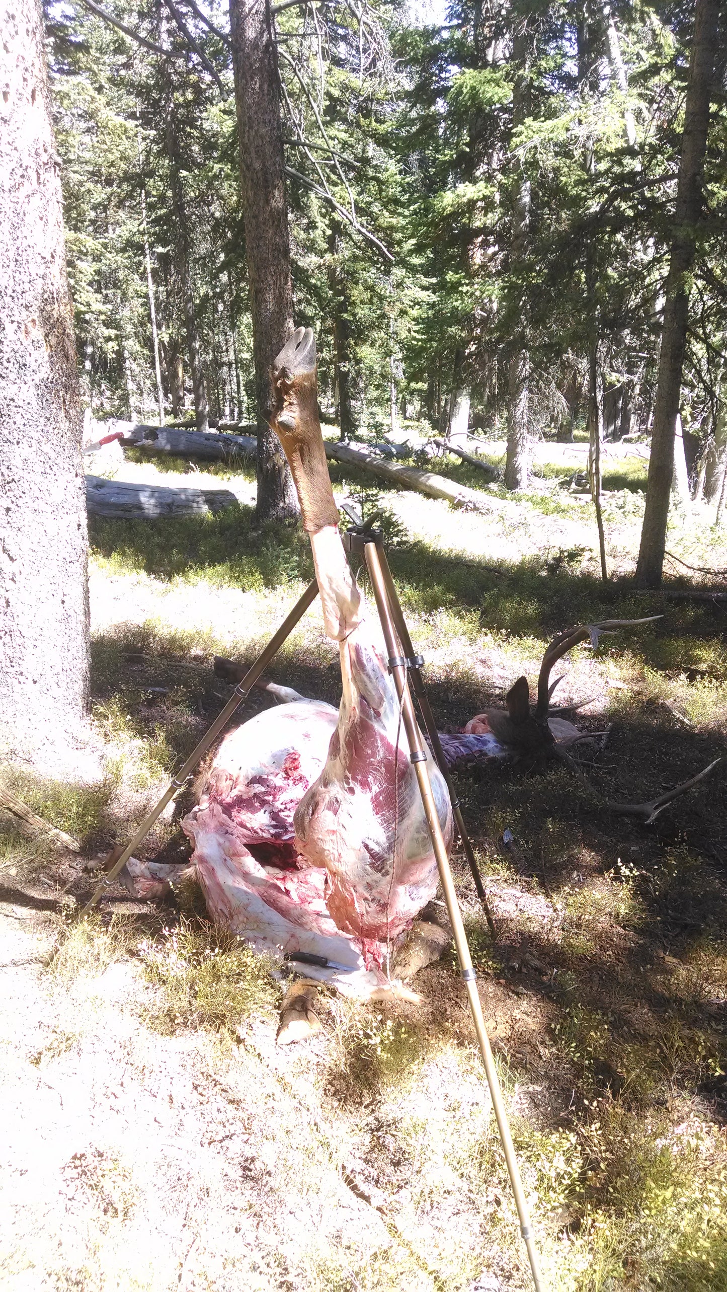 The Original Hunting Tripod
