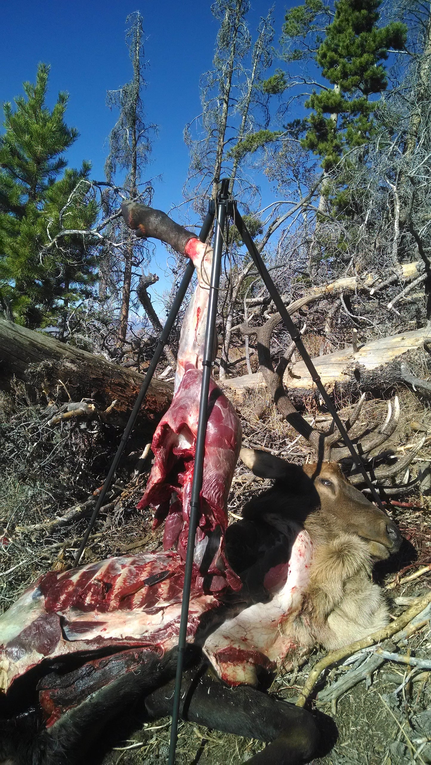The Original Hunting Tripod
