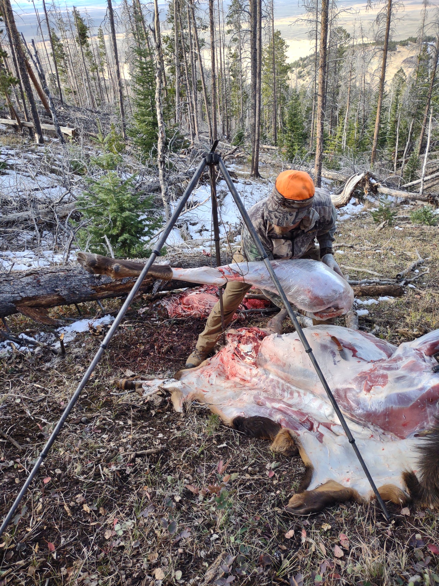 The Original Hunting Tripod