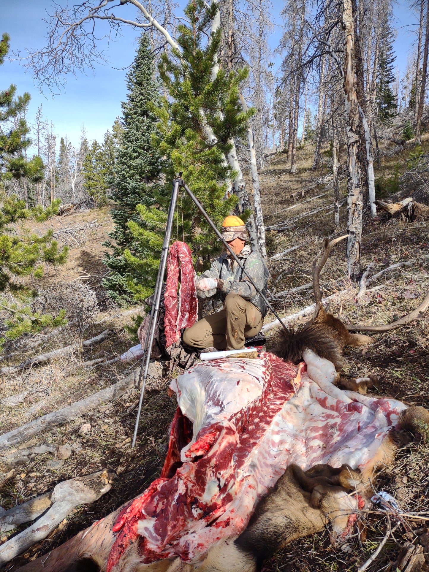 The Original Hunting Tripod
