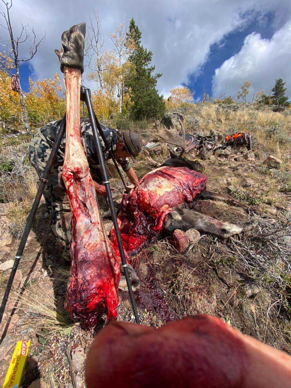 The Original Hunting Tripod