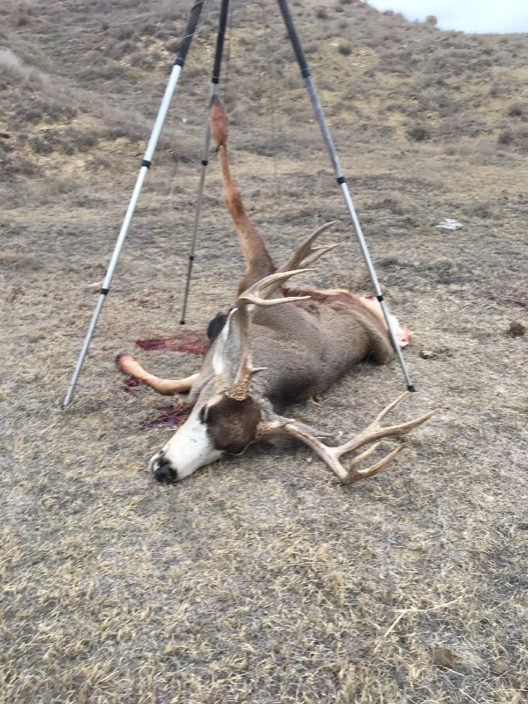 The Original Hunting Tripod