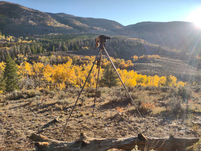 Original Hunting Tripod '25
