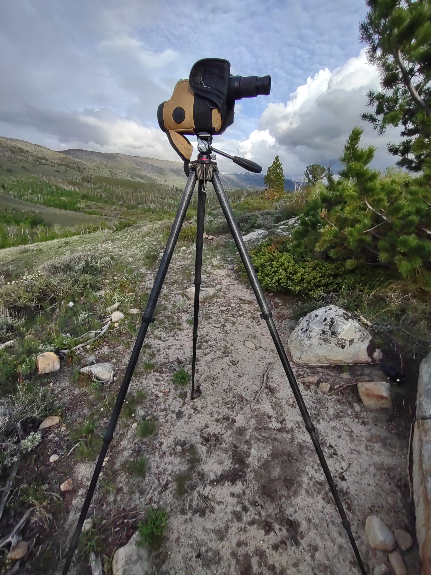 Tall glassing tripod for big game hunting