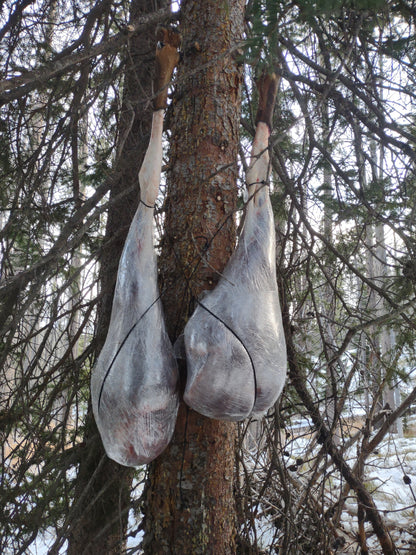 Hanging elk quarters with the top knot hanger kit 