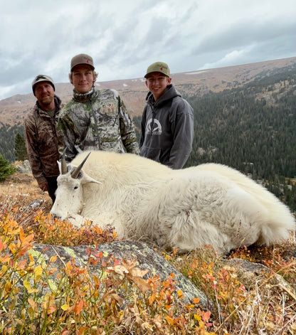 Mountain goat hunting with the top hand tripod 