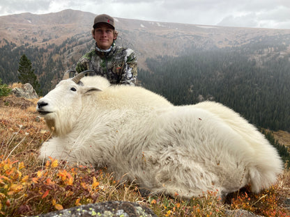 Mountain goat hunt