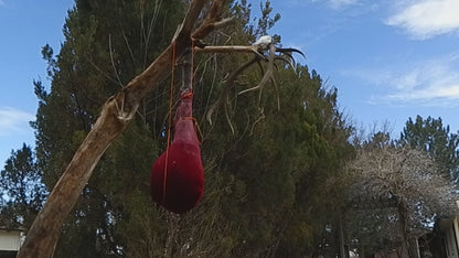 Topknot Meat Hanging Kit