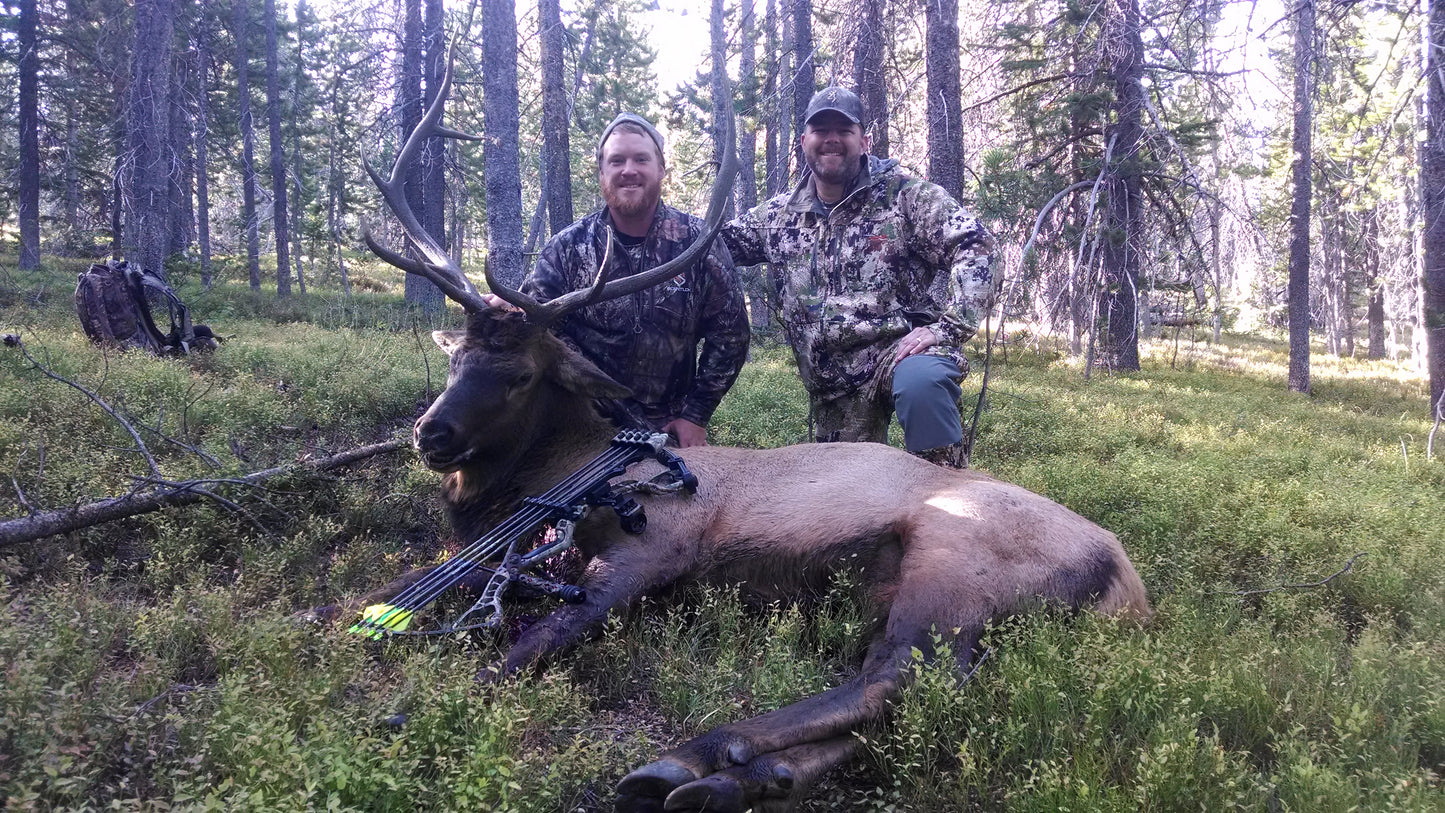 Archery elk hunting tripod tool