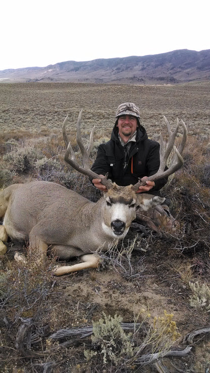 Mule deer hunting 