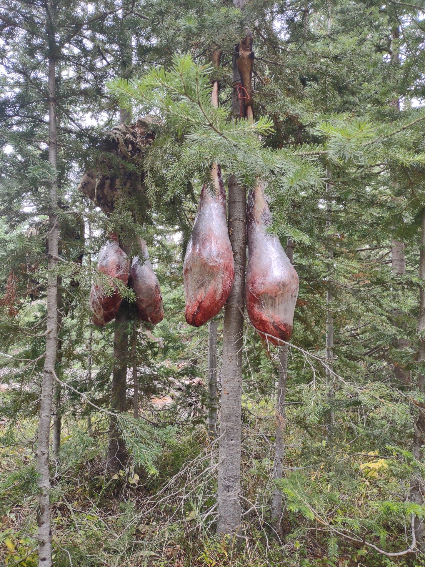 Topknot Meat Hanging Kit