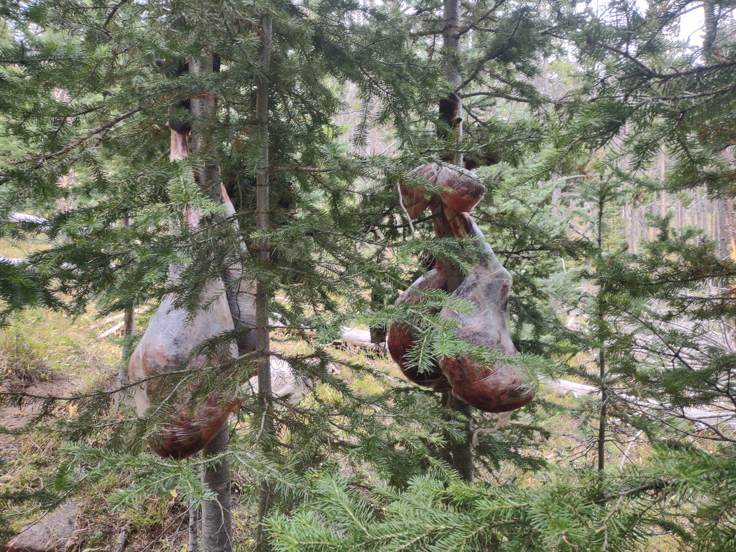 Topknot Meat Hanging Kit