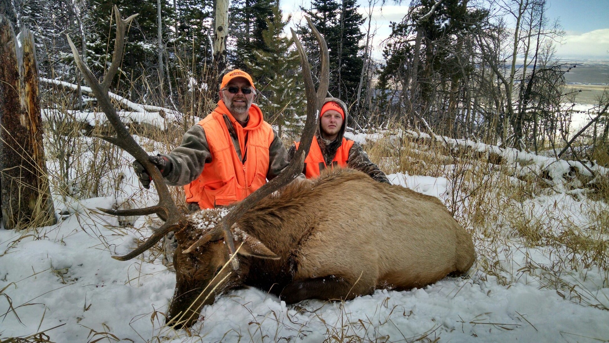 Elk hunting 